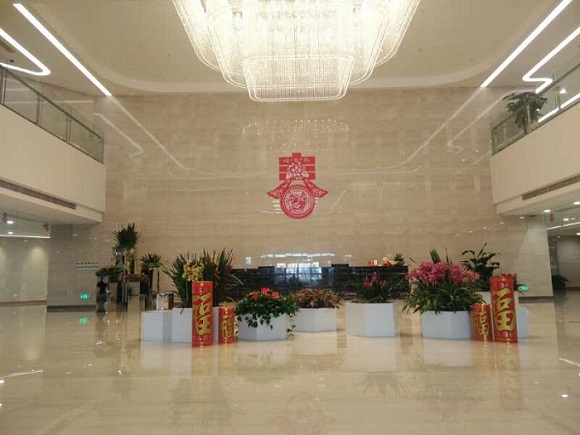1548656899289061898.jpg 春運(yùn)事記配圖.jpg
